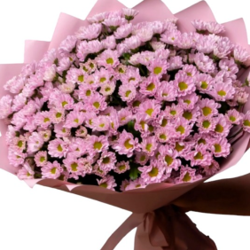 Цветы Белек 51 стильный букет розовых ромашек