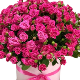  Belek Blumenbestellung 35 rosa Mini-Laubenrosen in Box